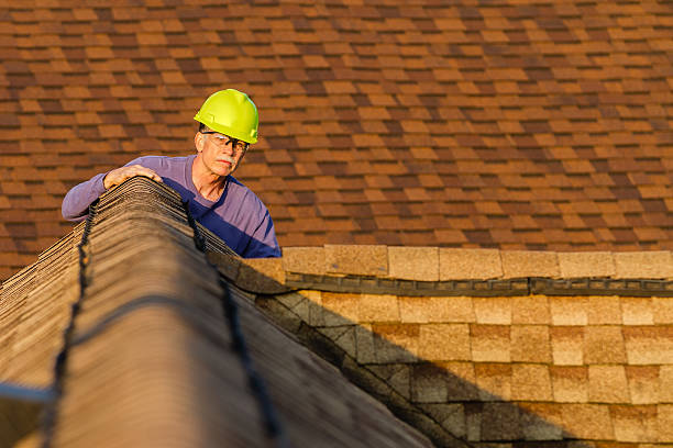 Roof Gutter Cleaning in Wrightwood, CA